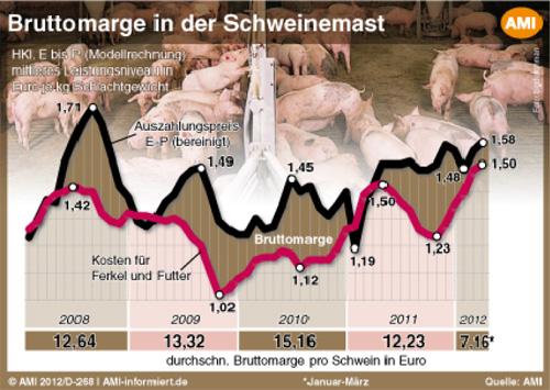 AMI Statistik zu Bruttomarge in der Schweinemast