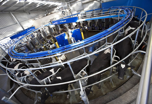DeLaval - Automatisches Melkkarussell AMR ™