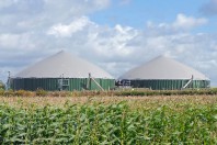 Ausgezeichnete Kombination aus Gemüseproduktion und Reststoffverwertung: die Biogasanlage des britischen Lebensmittelanbieters Barfoots of Botley Ltd.