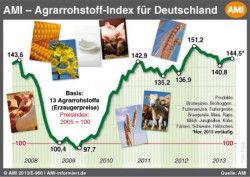 AMI-Agrarrohstoff-Index November 2013